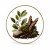 Earthy & Vegetal